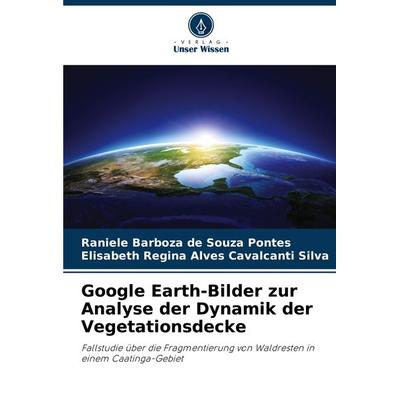 Google Earth-Bilder zur Analyse der Dynamik der Vegetationsdecke, Taschenbuch von Raniele Barboza de Souza Pontes,Elisabeth Regina Alves Cavalcanti