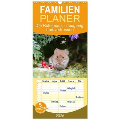 Familienplaner 2026 - Die Rötelmaus - neugierig und verfressen mit 5 Spalten (Wandkalender, 21 x 45 cm) CALVENDO