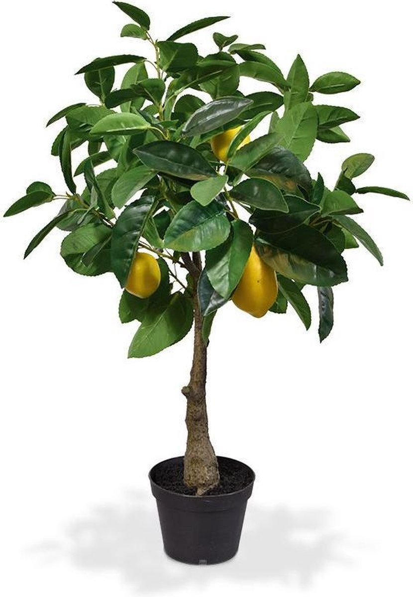 Maxifleur Citroen kunstplant, 70 cm