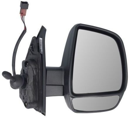 BLIC 5402-07-1891318P Wing mirror
