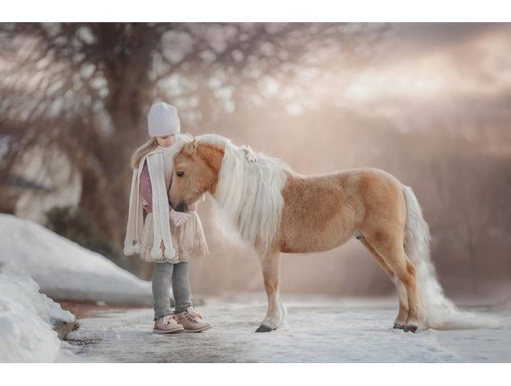Fototapete PAPERMOON PALOMINO MINIATURE PFERD-MÄDCHEN WINTER TIER PONY MINI , bunt, B:1,5m L:1,11m, Vlies, Tapeten, Fototapete