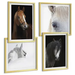 BILDER SET 4er Set - 50x50 cm & 40x60 cm Goldrahmen - Pferdeporträts in Schattierungen