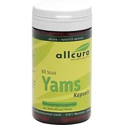 Yams Kapseln 250mg Yamspulver 60 ST