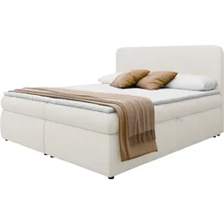 BOXBETT Bonny - H3
