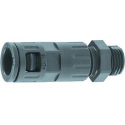 LAPP 61801130 SILVYN® KLICK-GPZ PG 9 GY Schlauchverschraubung Grau PG9 Gerade 20 St.