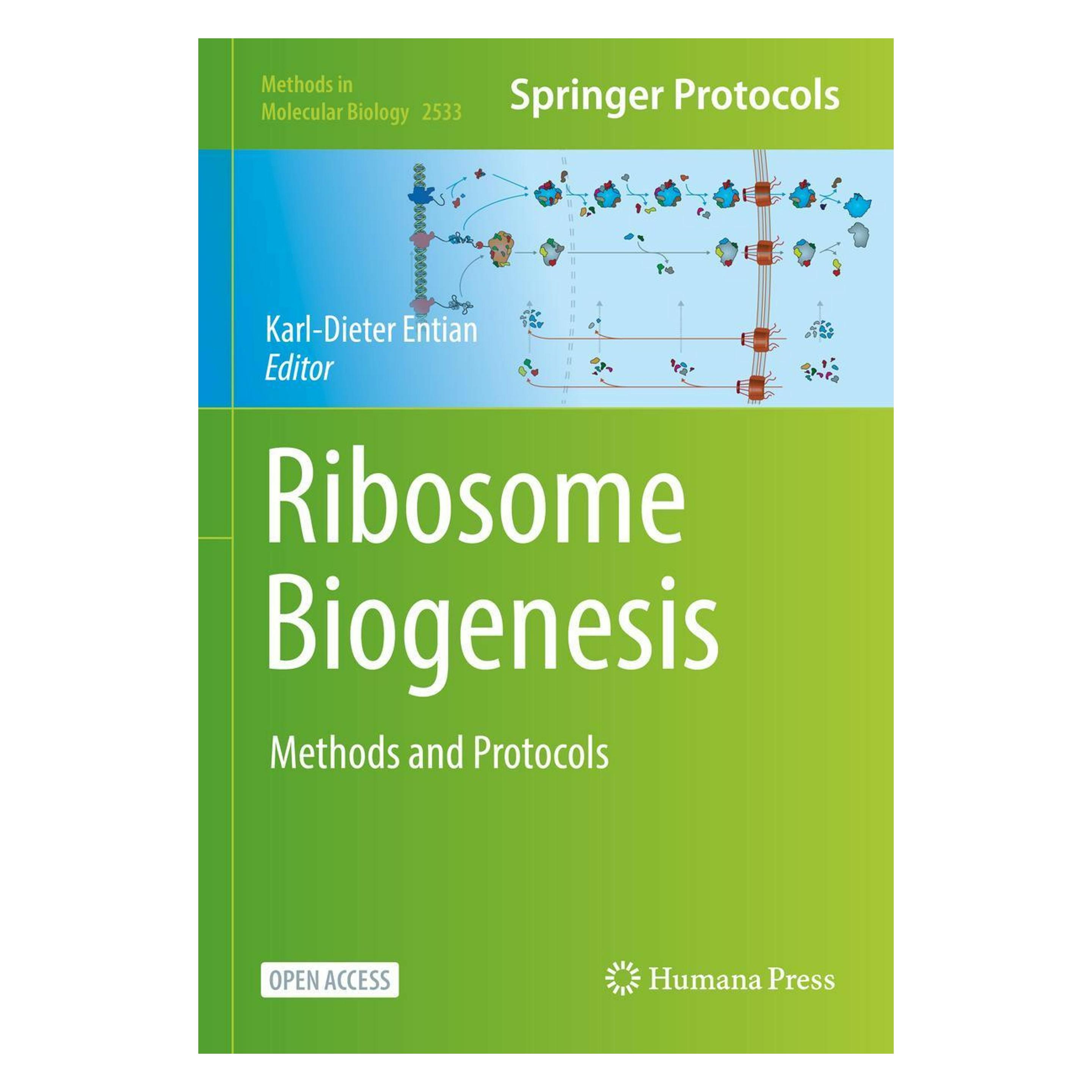 Springer Ribosome Biogenesis (Englisch, Hardcover, Karl-Dieter Entian) (9781071625002)