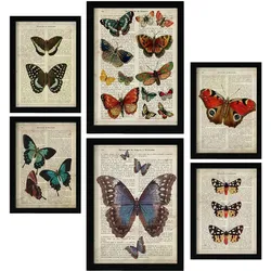 POSTER Set Mit 6 Schmetterlinge Vintage Papier Stil Plakate Mit Enzyklopädie Hintergründen Bunte Schmetterlinge A3 & A4 Schwarzer Rahmen