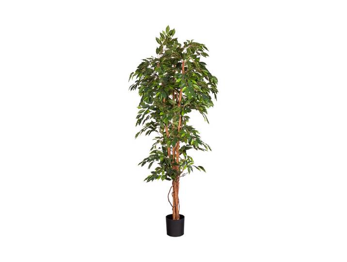 Mica Kunstpflanze Ficus Grün im Plastiktopf 100 × 210 cm