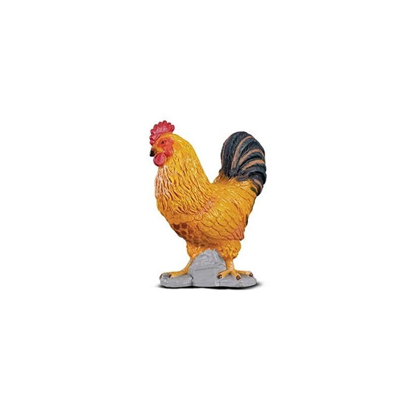 Collecta Kohout