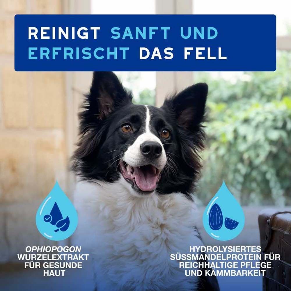 Douxo SPA Mousse ohne Ausspülen für Hunde 2x 2x150 ml