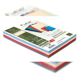 Exacompta 2789C 100er Packung Einbanddeckel, Evercover 270g/qm, Lederprägung, für DIN A4 Format - Farben sortiert