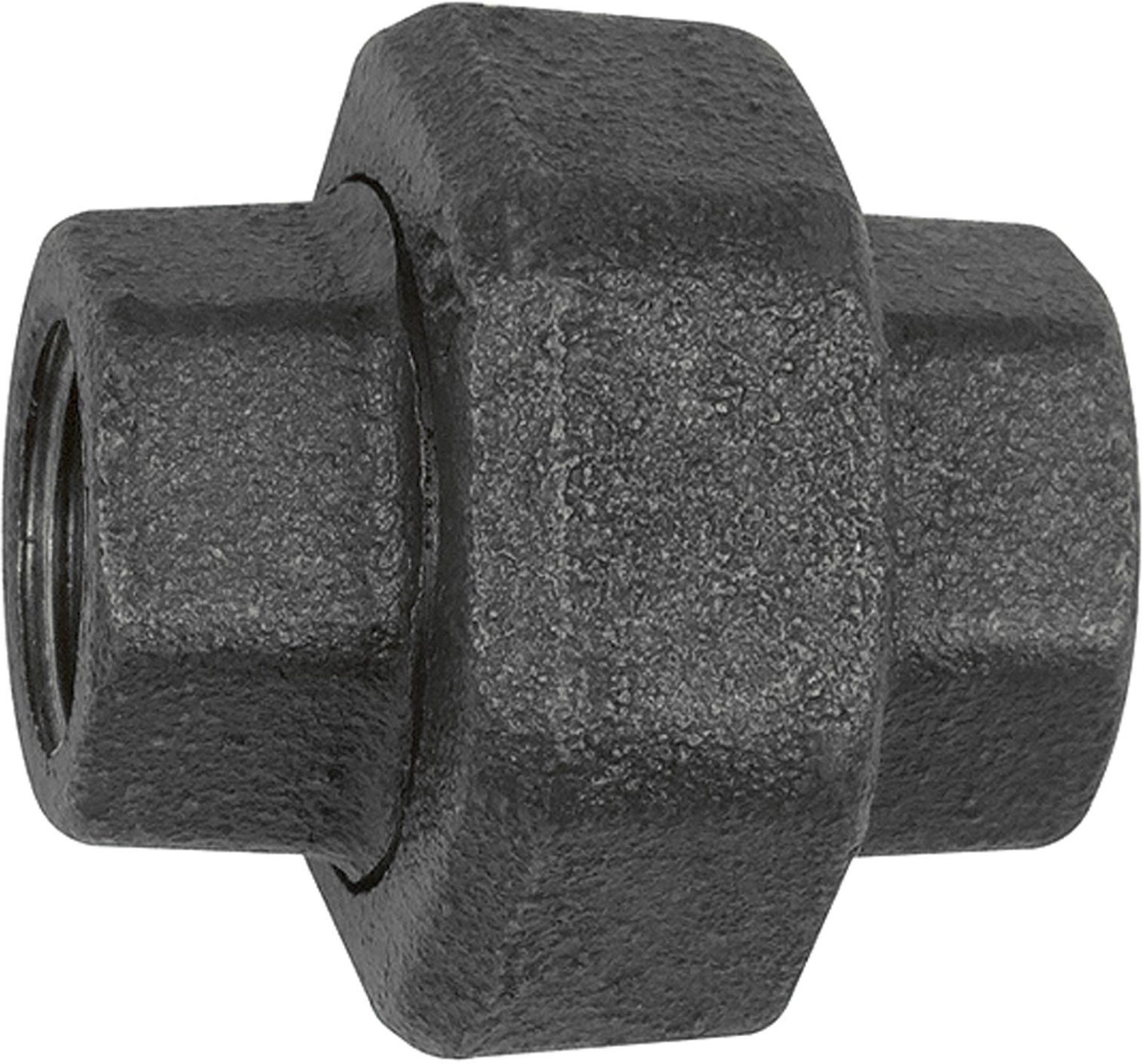Riegler Verschraubung 330, flachdichtend, Rp 1, Rp 1, Temperg. schw. (TFV 330-10-DS)
