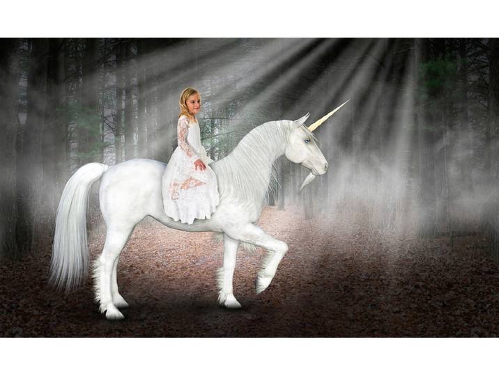 Fototapete PAPERMOON Einhorn Hoffnung Liebe Frieden , bunt, B:4m L:2,6m, Vlies, Tapeten, Fototapete