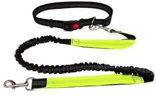 Uplifted Finds Hand Free Dog Leash Waist Belt Chest Strap Set green