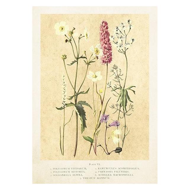 Sköna Ting Karte ST445 B6 + Umschlag Wildblumen im Sommer (47994804)