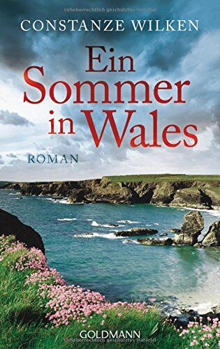 Constanze Wilken - Ein Sommer in Wales: Roman - Preis vom 10.10.2026 11:48:34 h