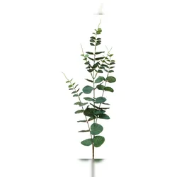 Decoris Künstlicher Eukalyptuszweig 78cm Kunstzweig Eukalyptus Zweig Kunstblumen Dekozweige Hochzeitsdeko Frühlingsdeko Osterdeko Grün