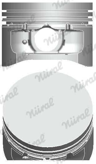 Nüral Kolben 8743350000