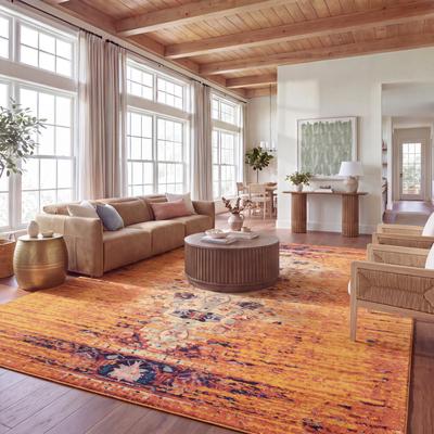 SAFAVIEH Monaco Blandine Distressed Boho Rug