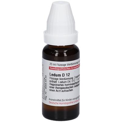 Ledum D 12 Dilution 20 ml