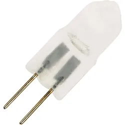 Halogenlampe | G4 | Steckbare Lampe | Matt | 31mm | 10W | 12V