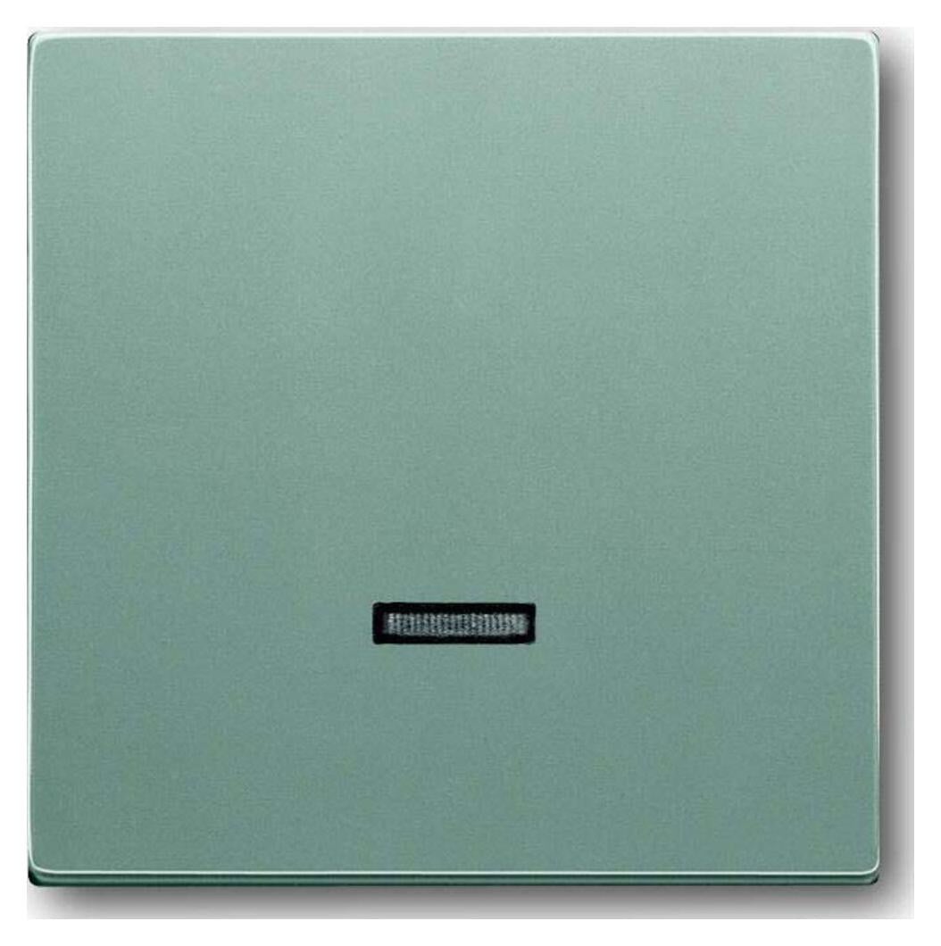 Busch-Jaeger 6543-83-101 Aluminium afdekplaat, 63 x 63 mm