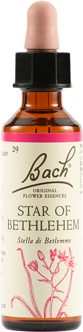 Schwabe Pharma Italia Star Of Bethlehem Original 20 Ml