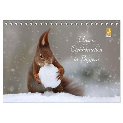 Unsere Eichhörnchen in Bayern (Tischkalender 2027 DIN A5 quer), CALVENDO Monatskalender