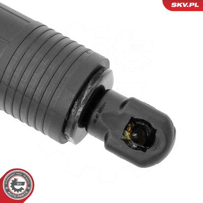 ESEN SKV Elektromotor, Heckklappe beidseitig 52SKV221 für Audi
