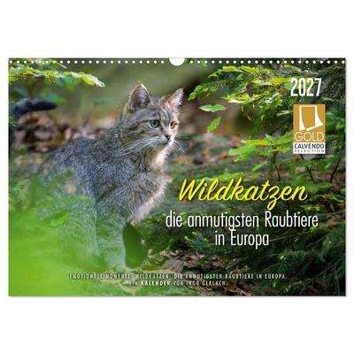 Wildkatzen - die anmutigsten Raubiere in Europa. (Wandkalender 2027 DIN A3 quer), CALVENDO Monatskalender