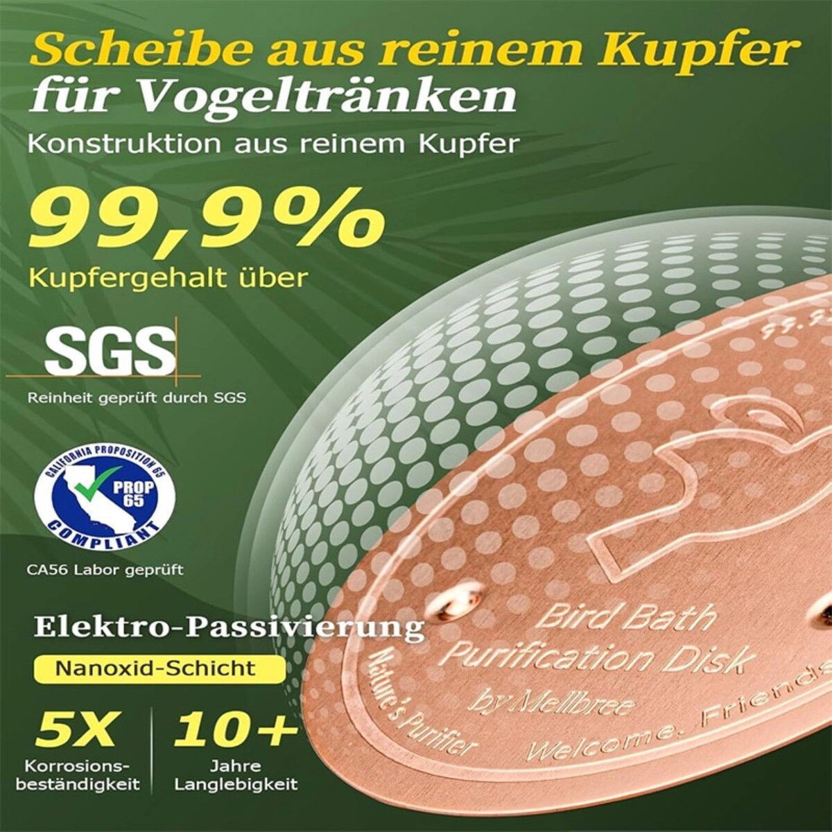 INF Vogeltränke Kupferscheibe - 0.6mm 99.99% Reines Kupfer, Roségold, Hält Wasser Bis Zu 14 Tage Klar