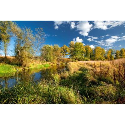 Papermoon "Fluss durch Feld"