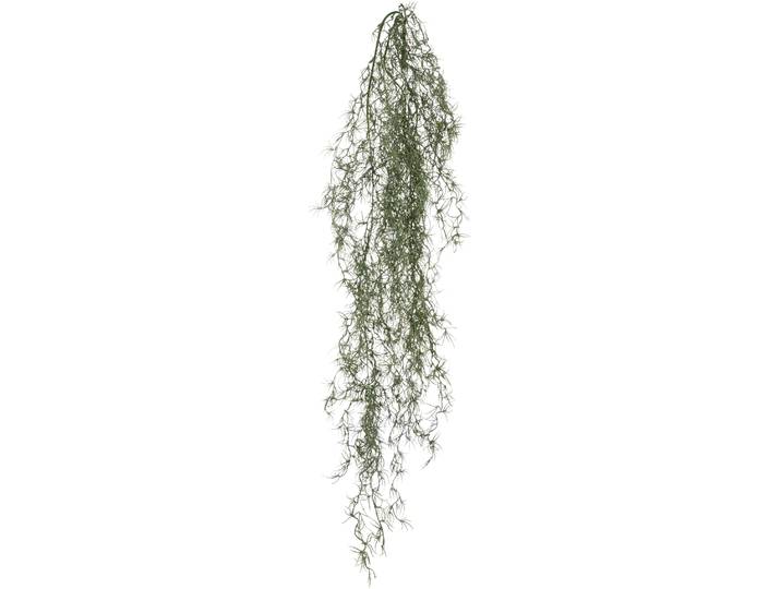 Kunstranke CREATIV GREEN Tillandsia , grau (grau, grün), H:120cm, Kunststoff, Kunstpflanzen, Kunstranke, mit filigranen Ranken