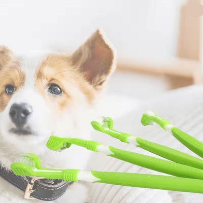 Inspire Essentials TriClean Three Sided Pet Toothbrush TriClean Three Sided Pet Toothbrush