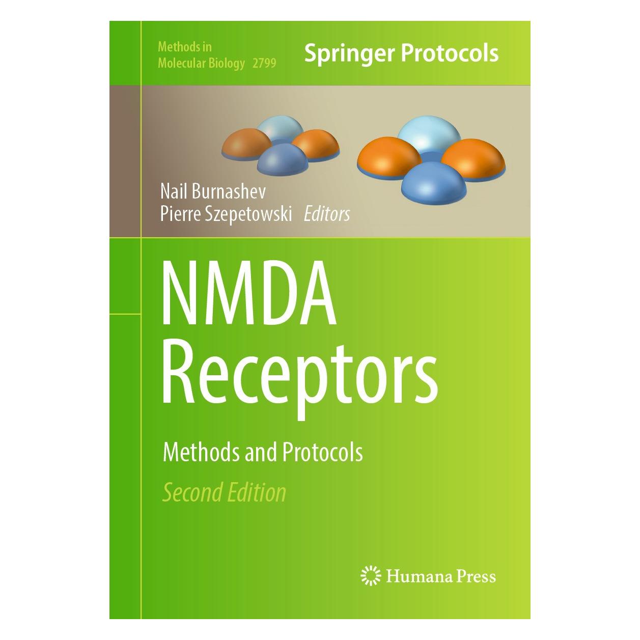 Springer NMDA Receptors (Englisch, Hardcover, Nail Burnashev, Pierre Szepetowski) (9781071638293)