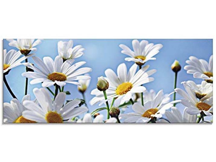 ARTland Wanddeko Glasbilder Wandbild Glas Bild einteilig 125x50 cm Querformat Natur Blumen Blüten Gänseblümchen Margeriten Landhaus T2YI
