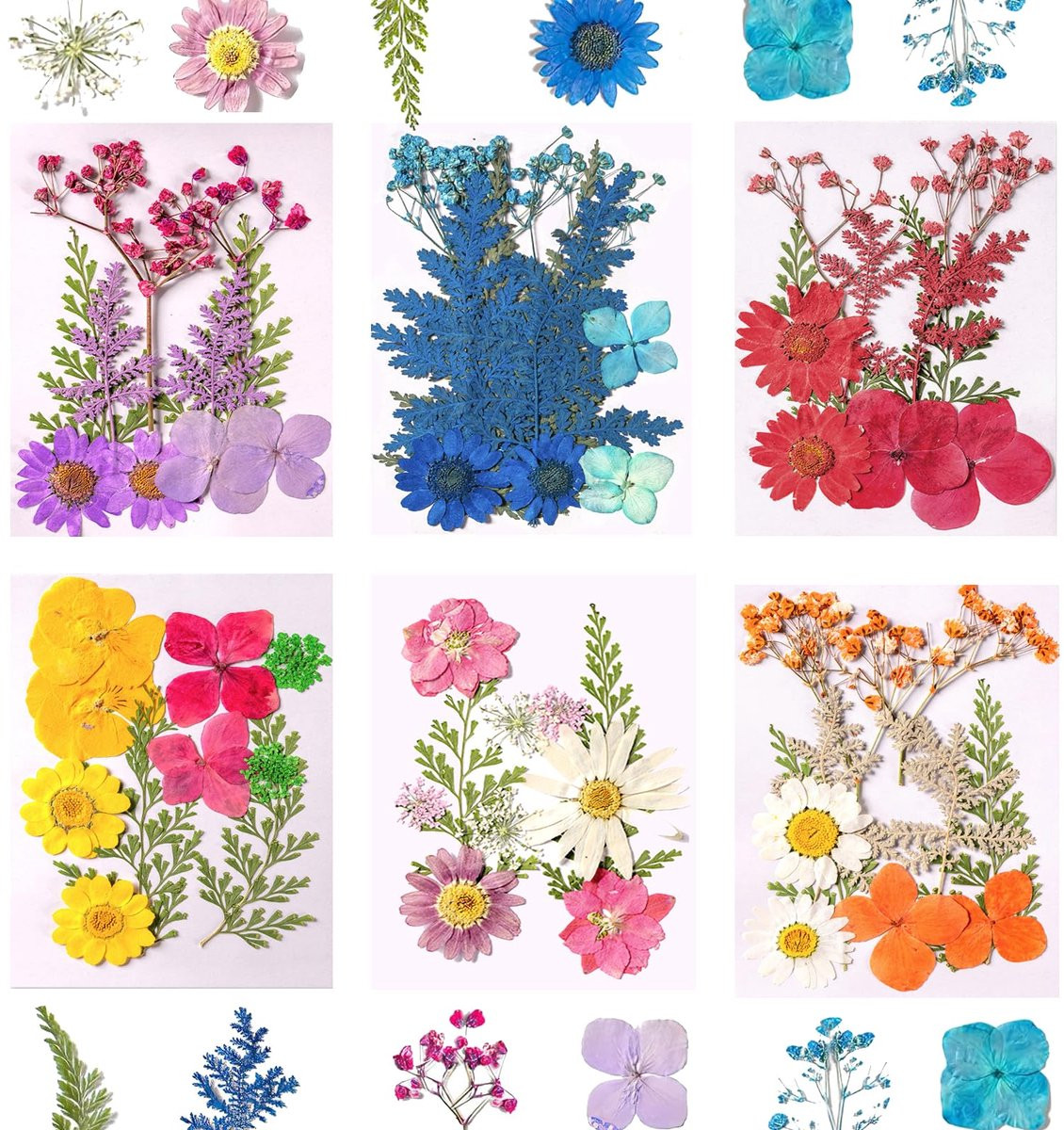 Dailygoods - 6 stuks gedroogde bloemen - natuurlijke DIY craft materialen