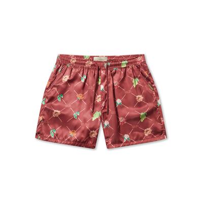 Shorts PAS DE MONACO "Pas De Monaco FRUIT MONOGRAM SHORTS", Herren, Gr. XS, US-Größen, rot (burgundy), 100% Polyester, normal, Hosen Shorts