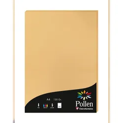 Pollen 10x Papier A4 Pollen 120g 50 Blatt - Karamell 4279C