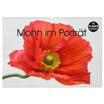 Mohn im Porträt (Wandkalender 2027 DIN A3 quer), CALVENDO Monatskalender