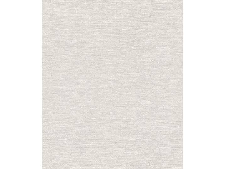 Rasch Tapeten Vliestapete (universell) Grau 10,05 m x 0,53 m Tapetenwechsel 804539