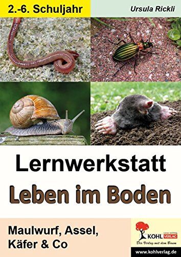 Ursula Rickli - Lernwerkstatt Leben im Boden: Maulwurf, Assel, Käfer & Co - Preis vom 02.10.2026 23:42:20 h
