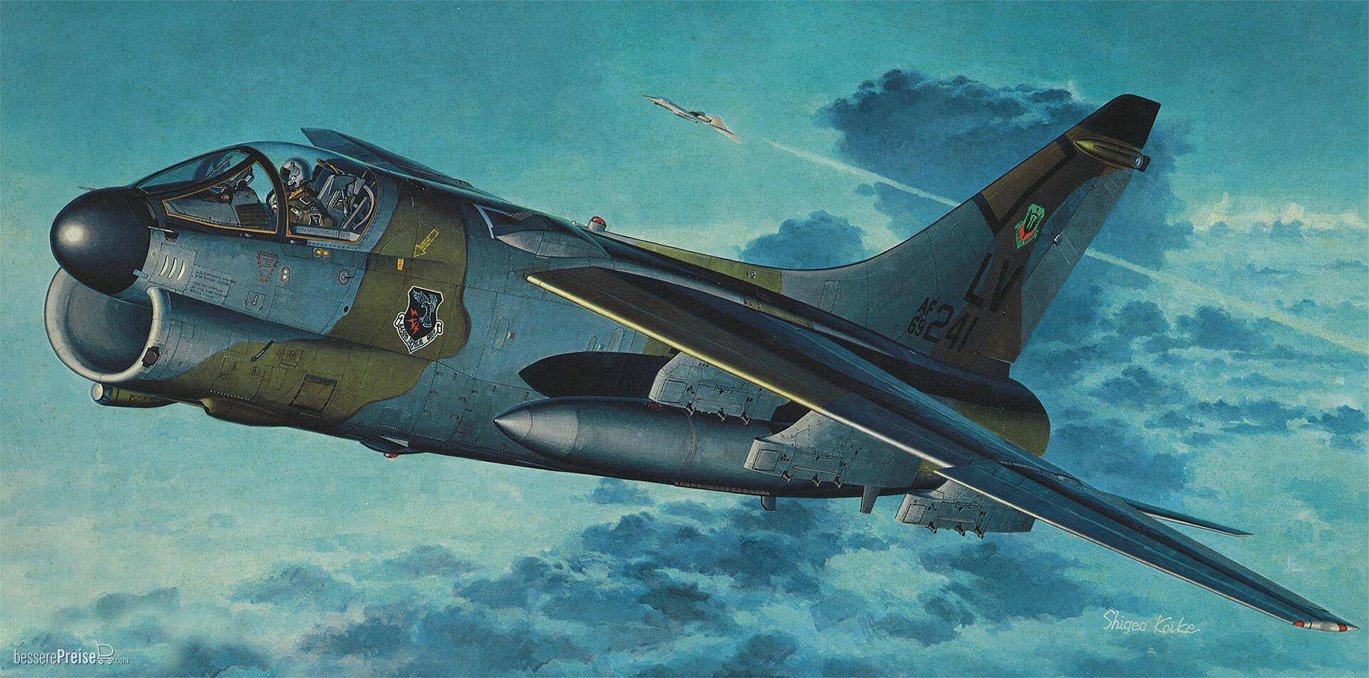 Hasegawa 607247
