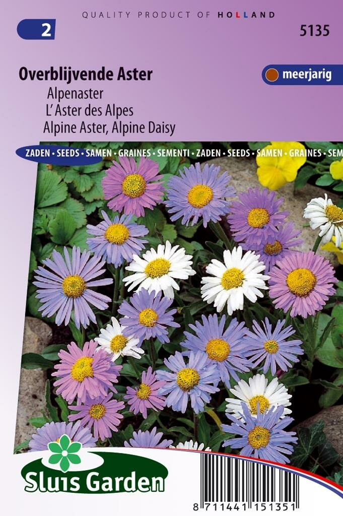 Bakker Aster Alpinus zaden Alpenaster Mix