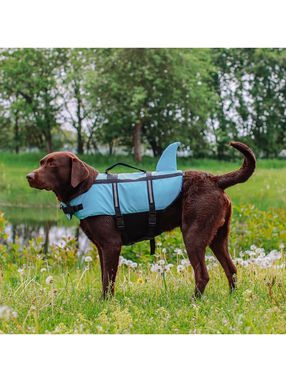 Nobby Rettungsweste Sharki, Blau, XS