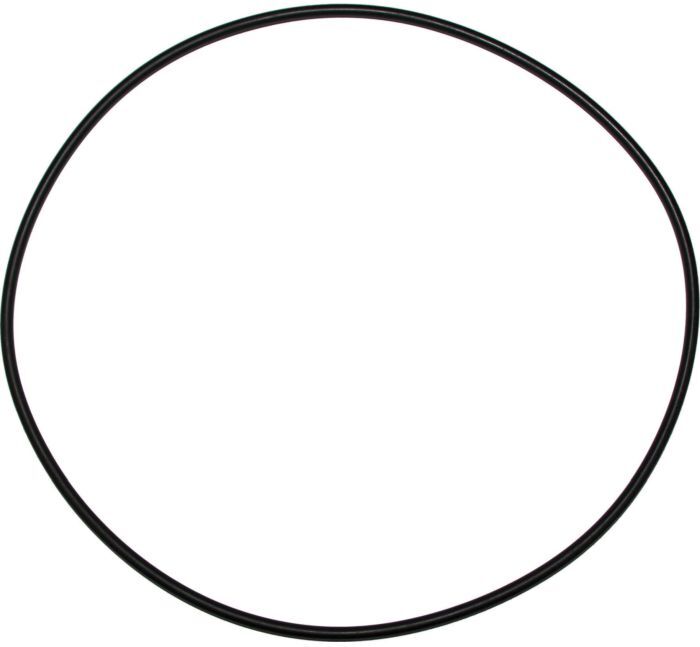 Wolf Dichtung O-Ring 200x4 3910268 für MGK-2