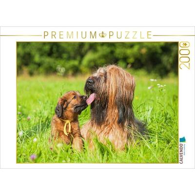 CALVENDO Puzzle Briard- Hündin mit einem ihrer Welpen | 2000 Teile Lege-Größe 90x67cm Foto-Puzzle für glückliche Stunden