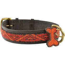 Kampuni Hundehalsbånd Kabaka neon x-large, 71x3,8 cm (Hund), Halsband + Leine