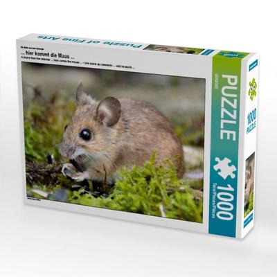 CALVENDO Puzzle Ein Motiv aus dem Kalender ... hier kommt die Maus ... | 1000 Teile Lege-Größe 64x48cm Foto-Puzzle für glückliche Stunden