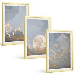 BILDER SET 3er Set - 40x60 cm Goldrahmen - Vögel, die am Himmel fliegen